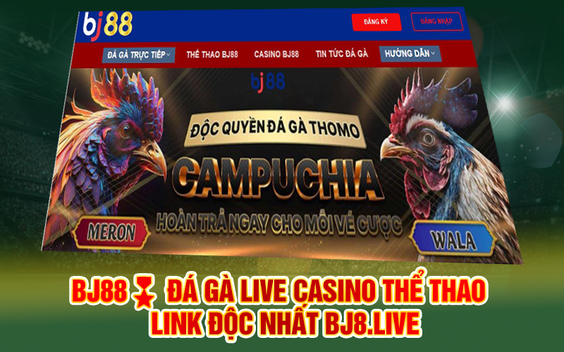 BJ88?️ Đá gà Live Casino Thể thao - Link độc nhất 888casino.us.org